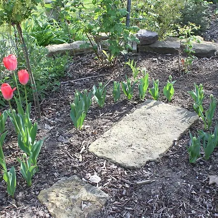 Loschwitz Hotel Dresde