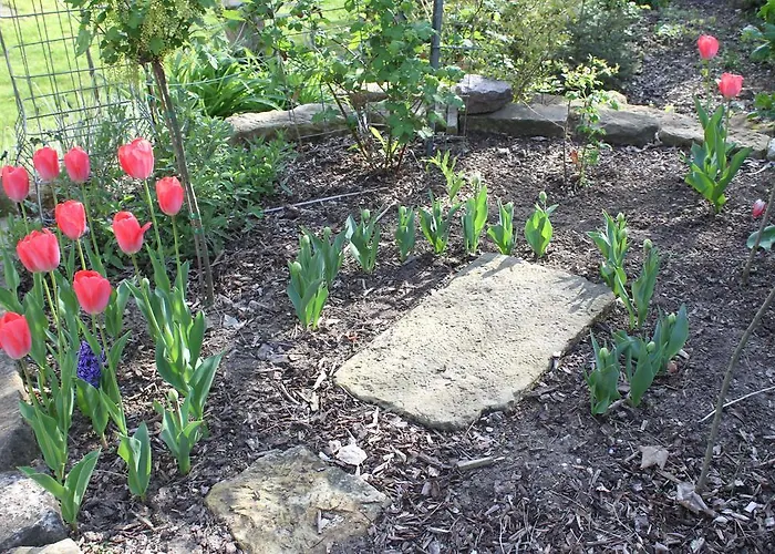 Loschwitz Hotel Dresden