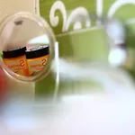 Hotel Loschwitz Dresden
