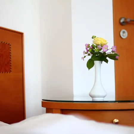 Loschwitz Otel Dresden